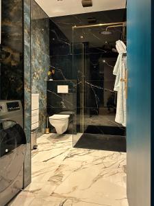 a bathroom with a toilet and a black wall at Luxe appartement dichtbij centrum B in Drachten +10 photos