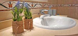 een wastafel met twee potplanten erop bij Ferienwohnung Jandia Dream in Morro del Jable