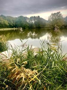 vistas a un lago con césped en el primer plano en Penzion a restaurace U Nováků, en Bítovany