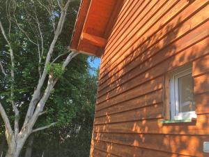 a side of a house with a window and a tree at Tu Casa Chiemsee Ferienhaus in Gstadt am Chiemsee +49 photos