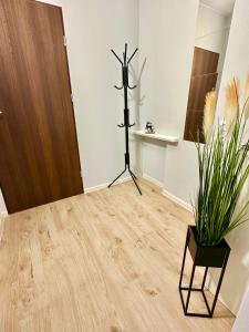 a room with a tripod and a plant at Grey House in Wrocław