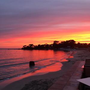 a sunset on a beach with the ocean at Palm Beach in Ajaccio