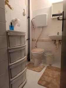 a small bathroom with a toilet and a sink at Apartman 019 in Zaječar