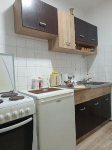 Il comprend une cuisine équipée d'une cuisinière et d'un four blanc. dans l'établissement Apartman 019, à Zaječar