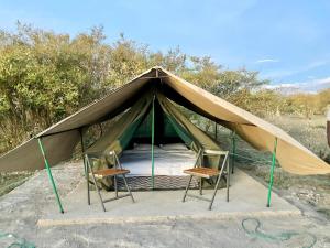 Kambu Mara Camp في Sekenani: خيمة قماش فيها كرسيين