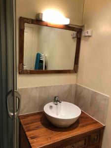 een badkamer met een wastafel en een spiegel bij Appartement 30m² RDC 2 pièces in Joigny