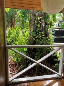 a window with a view of a garden outside at Casa ANA KIMBA in Puerto Viejo