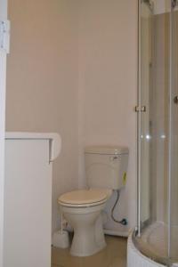 a bathroom with a toilet and a shower at Bryanston Elgin - Deluxe 2 Guest Studio 1 in Johannesburg