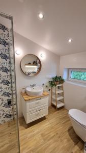 a bathroom with a sink and a toilet and a mirror at Domek Koziołek przy szlaku, Szyndzielnia, Klimczok, Szczyrk, Bania in Bystra