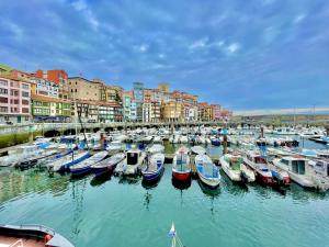 Er liggen boten in een haven. bij Apartamento Arresi Deluxe in Bermeo