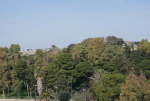 住宿加早餐旅馆周边自然景观
