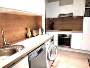 una cocina con fregadero y lavadora en Le Palais -Idéal Couple- Terrasse Hypercentre, en Pau 11 fotos más