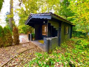 a small green building with a porch in the woods at Tiny Haus Glamping - Natur Park in Schlangenbad