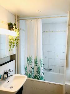 een badkamer met een douchegordijn, een bad en een wastafel bij Appartement vue lac Montreux in Montreux