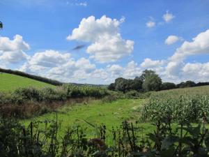 un campo de hierba verde con cielo azul y nubes en Stargazing Retreat, en Merton