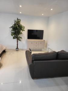 a living room with a black couch and a tv at Beautiful One Bed Studio Flat - Dog Friendly in Bridgwater