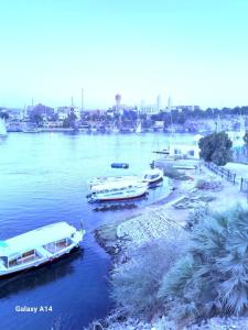 a group of boats docked in a river at NiLe ViEW RANA NUbian Guest HOUES in Aswan