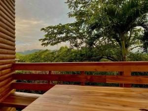 un banco de madera con vistas a un árbol en Hoja Azul - Sustainable teak modern cabin in Hojancha, en Hojancha