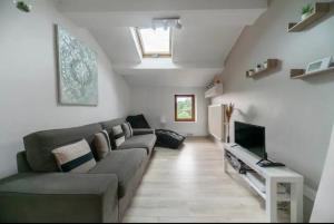 a living room with a couch and a television at ⟬La Maisonnette de Séverine⟭ in Saint-Genès-Champanelle