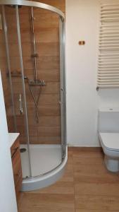 uma casa de banho com um chuveiro, um lavatório e um WC. em Apartament, ogródek, przy Rynku! em Zielona Góra