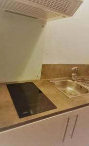 a kitchen with a sink and a counter top at OLOO Habitat - Le19 - Parking Privé in Montbéliard