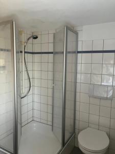 La salle de bains est pourvue d'une douche et de toilettes. dans l'établissement Hotel & Landgasthof Zur Sonne, 