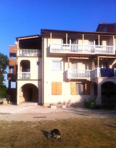 a dog laying in the grass in front of a building at Apartments Ninske Vodice in Nin