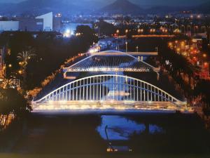 Widok na miasto Murcja z tego apartamentu