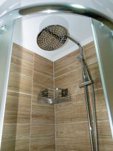 a shower with a shower head in a bathroom at Sobe Marija in Kikinda