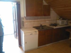 a small kitchen with a sink and a microwave at Vinařství Bičian in Vrbovec