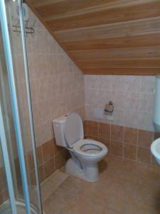 ein Bad mit einem WC und einem Waschbecken in der Unterkunft Vinařství Bičian in Vrbovec