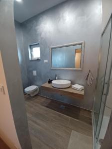 a bathroom with a sink and a toilet and a mirror at Apartma in Izimje