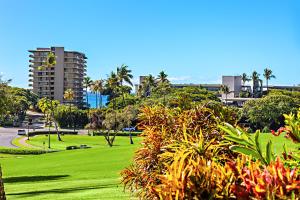 Naturlandskabet i nærheden af lejligheden