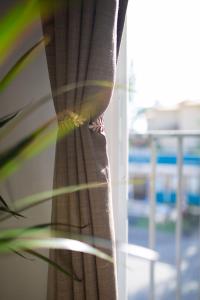 a person peeking through the curtains of a window at Marina del Sol apartment by Wyndham in Fuengirola