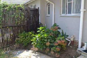 ein Zaun vor einem Haus mit Pflanzen in der Unterkunft Bryanston Elgin - Cottage 5 in Johannesburg
