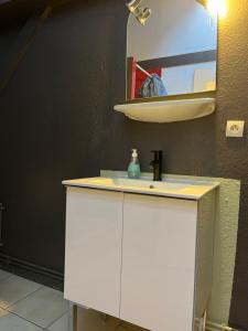 a bathroom with a white sink and a mirror at Dallas garden in Strasbourg