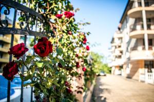 a bush of roses on a fence next to a building at Apart Hotel Apolonia Palace in Sinemorets