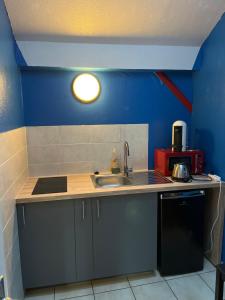 a kitchen with a sink and a blue wall at Dallas garden in Strasbourg