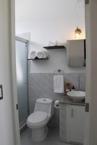 a bathroom with a white toilet and a sink at Residencial Privada Nueva San miguel, casa Flores in San Miguel
