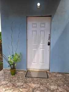 uma porta branca com um vaso de planta em frente em psalms em Cunupia Village