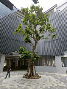 a man walking past a tree in front of a building at Cozy Sky Trees Bukit Indah Netflix and Amenities B06 in Johor Bahru