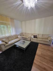 Sala de estar con 2 sofás y mesa de centro en Wishy Washy House en Debrecen