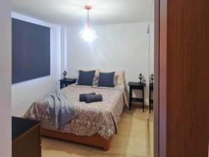a bedroom with a bed with blue pillows on it at Live Poris La Morra in Poris de Abona