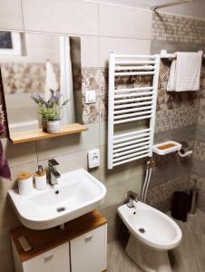 uma casa de banho com um lavatório, um WC e um espelho. em Lavender Vendégház Kicsi falu nagy szívvel varázslatos légkörrel em Golop