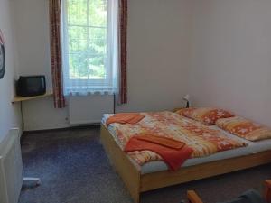 1 dormitorio con 1 cama, TV y ventana en Penzion Troníček, 