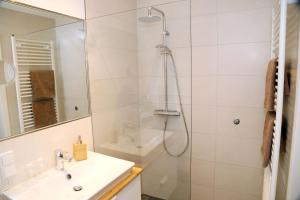 a bathroom with a shower and a sink at Appartement Schwarzwaldstüble in Oberharmersbach