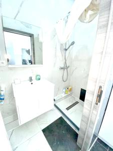 a white bathroom with a sink and a mirror at One bedroom appartement with wifi at Anderlecht in Brussels