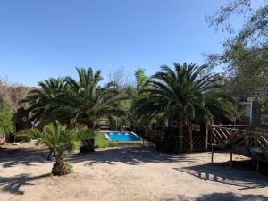 een tuin met palmbomen en een zwembad bij RACO DE PIRQUE in Pirque
