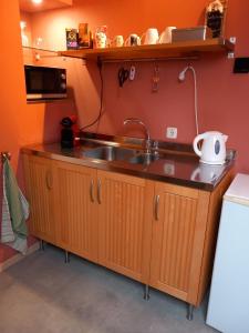eine Küche mit einer Spüle und einer Mikrowelle in der Unterkunft De Hagendoorn in Moorveld
