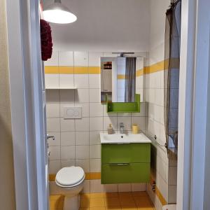 a bathroom with a green sink and a toilet at Monolocale piccolo ed accogliente - CIR 0021 - in Aosta